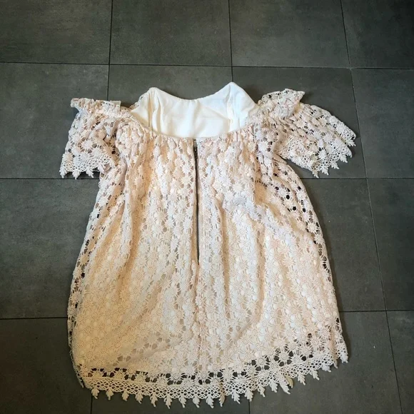 Telarosa Embroidered Mini Dress - Picture 5 of 10